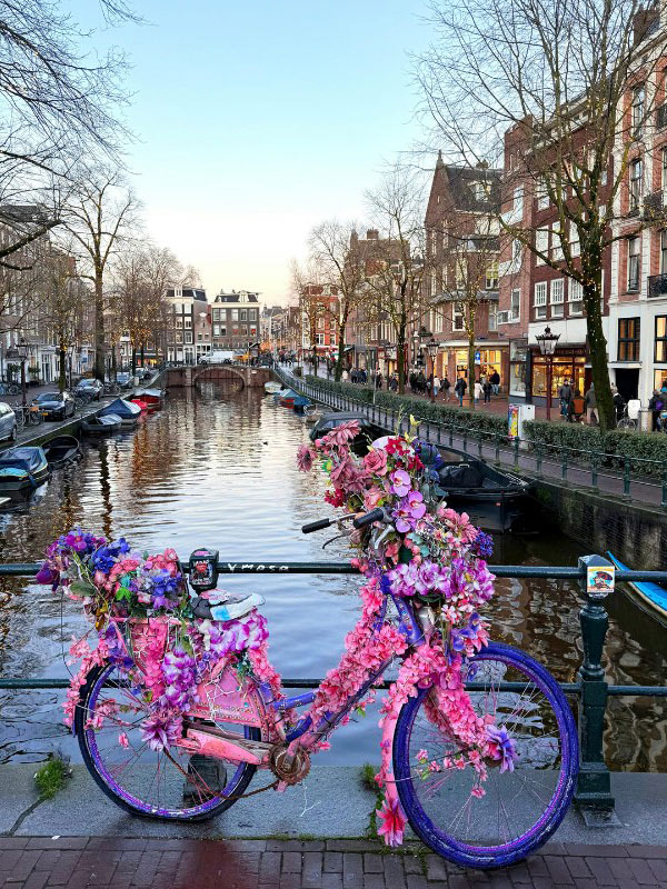 Amsterdam Expat Tax CPA